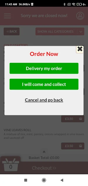 Lions Kebab Potters Bar Screenshot 2