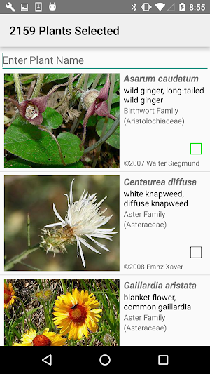 Oregon Wildflower Search Screenshot 2