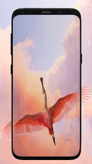 Flamingo Wallpaper Screenshot 2