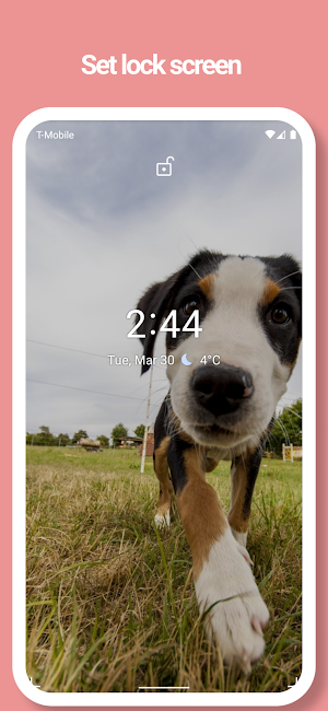 Puppy, Dog Wallpapers - Picture, Movie Screenshot 2