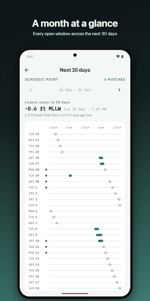 Tide Chart: ShoreWindow Screenshot 3