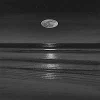 black image