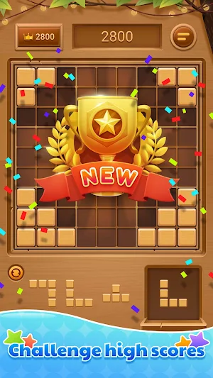 Wood Block Puzzle - Free Sudoku Tetris Jigsaw Game Screenshot 2