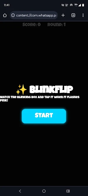 BlinkFlip Dx Screenshot 3