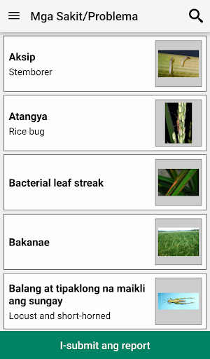 Rice Doctor Tagalog Screenshot 2