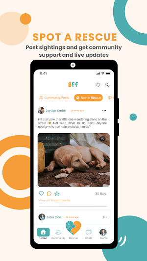Bearlot’s Furry Friends Screenshot 1