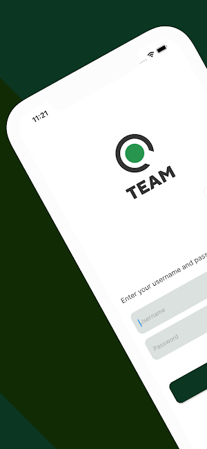 Team Online Screenshot 0