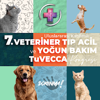 TuVECCA 2025
