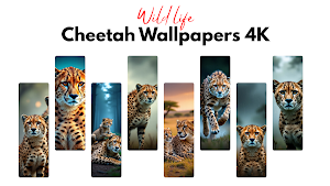 Cheetah Wallpaper Screenshot 0