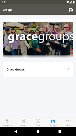Grace Covenant (NC) Screenshot 2