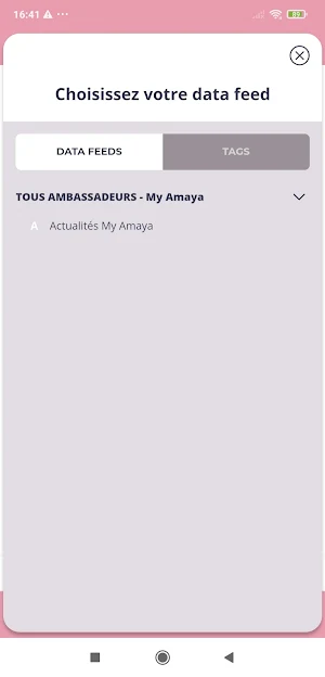 My Amaya Screenshot 2