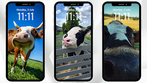 Cow Aesthetic Wallpaper Screenshot 2