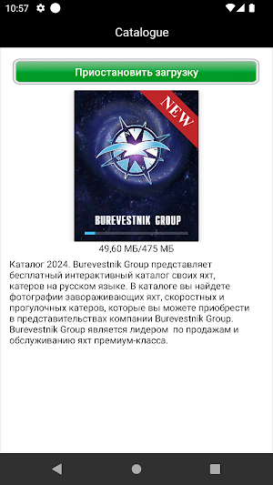 Burevestnik Group Screenshot 0