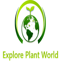 Explore Plant World