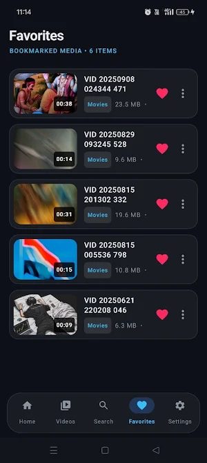 Video Player Screenshot 2