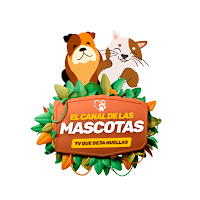 Canal de Las Mascotas