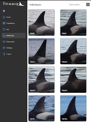 Finwave Screenshot 3