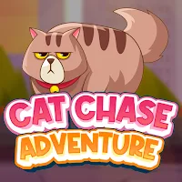 Cat Chase Adventure