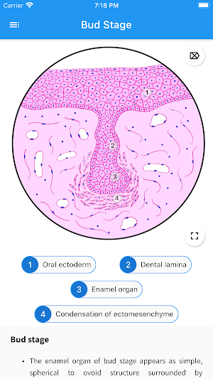 Oral Biology and Pathology Screenshot 2