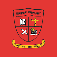 Bridge IPS