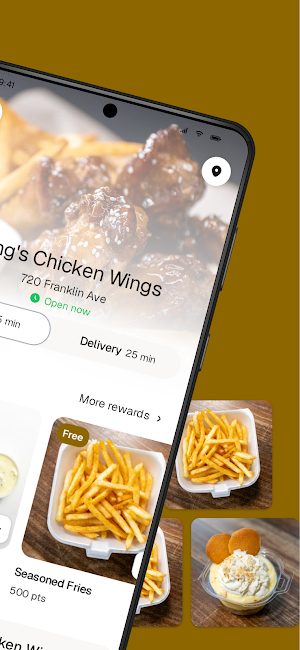 King's Chicken Wings Screenshot 1