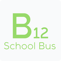 B12 School Bus