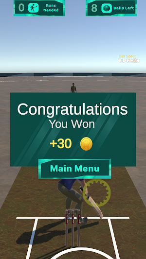Journey of a Cricketer Screenshot 3
