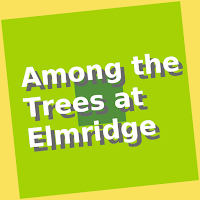 zBook: Among the Trees at