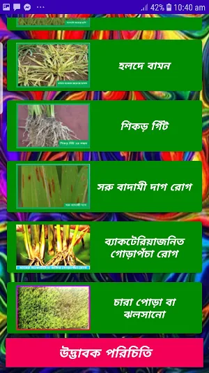 ধানের রোগ ~ Rice Diseases Screenshot 2