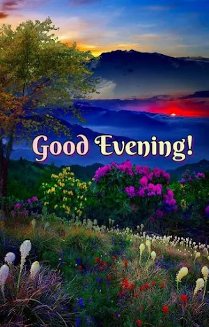 Good evening! Screenshot 3