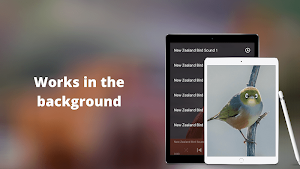 NewZealand Bird Sounds Screenshot 2