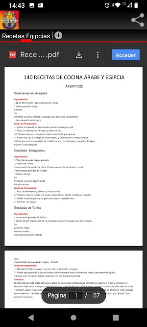 Recetas Egipcias Screenshot 0