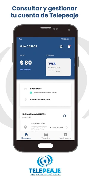 Telepeaje Screenshot 0