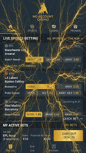 No Account Casino Screenshot 3