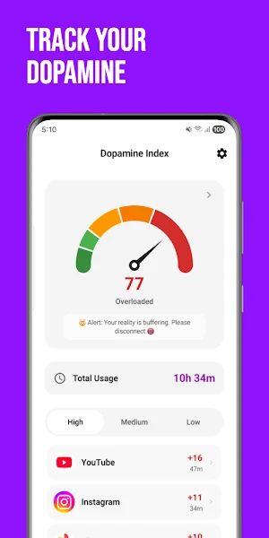 Dopamine Index: Digital Detox Screenshot 0