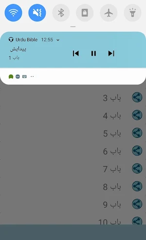 Urdu Bible Screenshot 2