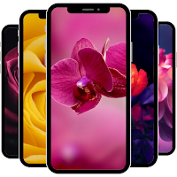 Flower Wallpaper