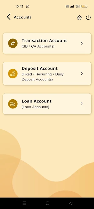 BindaasPay Screenshot 2