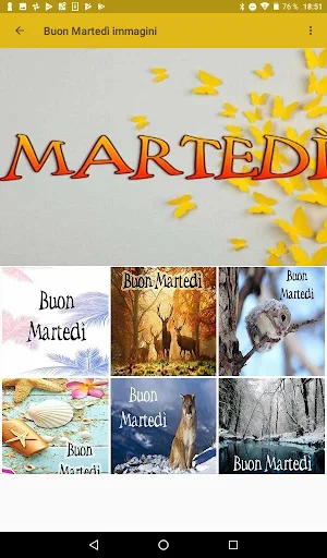 Buon Martedì immagini Screenshot 2
