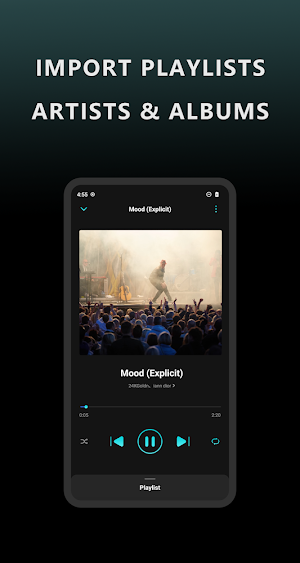Offline Music Player- Solo Screenshot 0