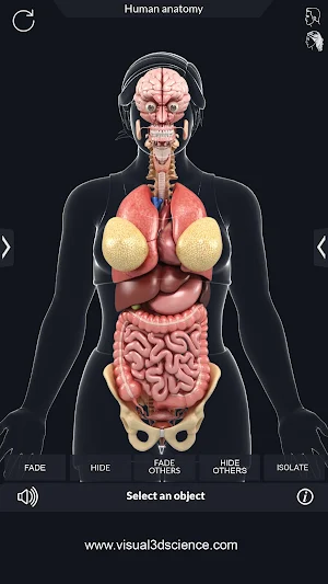 Organs Screenshot 2