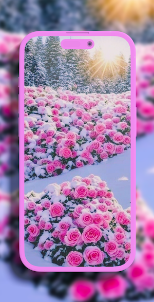 Flower Aesthetic wallpaper Screenshot 1