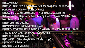 Dj Bojo loro Screenshot 1