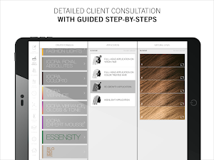 House of Color screenshot 7