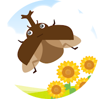 Summer vacation with me and beetles