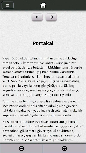 Sırça Köşk Sabahattin Ali Screenshot 3