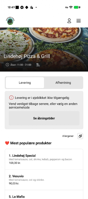 Lindehøj Pizza & Grill Screenshot 0