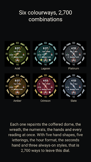 Rotunda Roman Watch Face Screenshot 2
