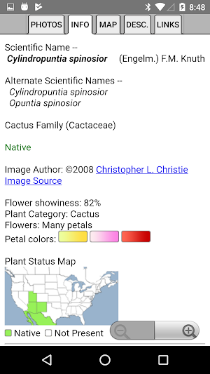Northern Mexico Wildflowers Screenshot 3