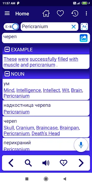 English Russian Dictionary Screenshot 3